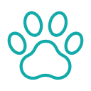 paw